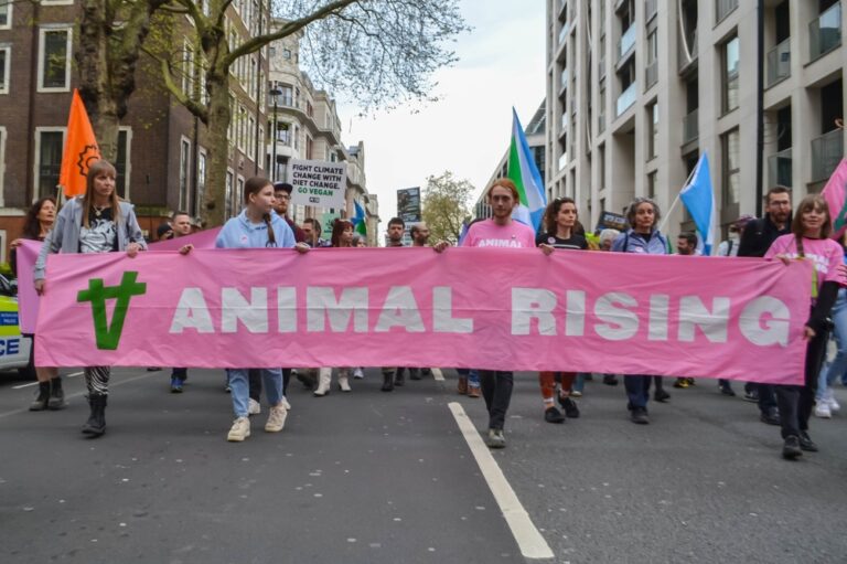 ‘Animal Rising’ Defaces Portrait (Video)