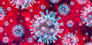 Illustration of coronavirus particles against a red background.