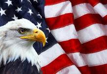 Bald eagle in front of American flag background