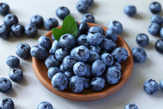 shutterstock_2179723237.jpg featured image Bowl of blueberries with scattered berries nearby