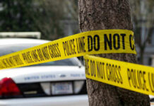 Police tape surrounding a tree and police car