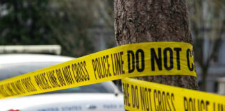 Police tape surrounding a tree and police car