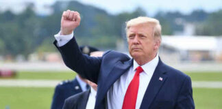 Donald Trump with raised fist