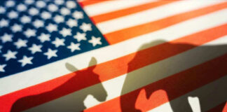 Donkey and elephant shadows on American flag background