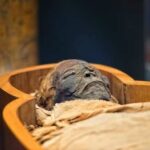 An ancient Egyptian mummy