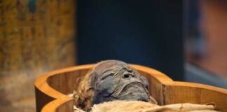 An ancient Egyptian mummy