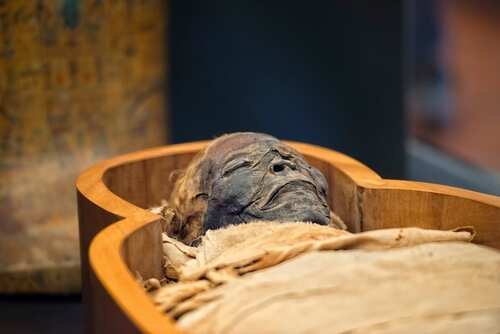 An ancient Egyptian mummy