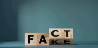 Wooden blocks displaying FACT and FAKE juxtaposed