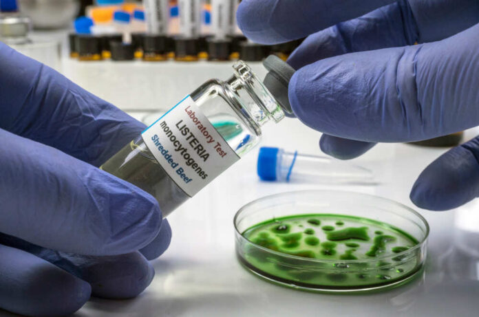 A laboratory technician holding a vial labeled 'Listeria monocytogenes' above a petri dish with green culture