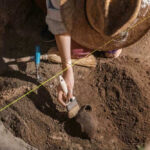 Archaeologist uncovering pottery at a dig site.
