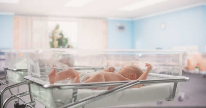 Newborn baby lying in a transparent crib in a hospital nursery