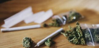 Marijuana