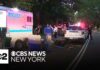 Central Park carriage horse killed by eating poisonous plant,