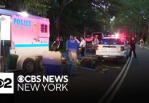 Central Park carriage horse killed by eating poisonous plant,