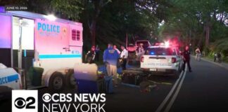 Central Park carriage horse killed by eating poisonous plant,