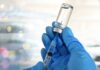 VIDEO: Flesh-Eating Parasite Has Pets In Danger A gloved hand holding a syringe and a vial of liquid