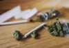 Marijuana
