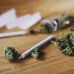 Unanimous Court Upends Marijuana Gun Rule Marijuana