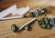 Unanimous Court Upends Marijuana Gun Rule Marijuana