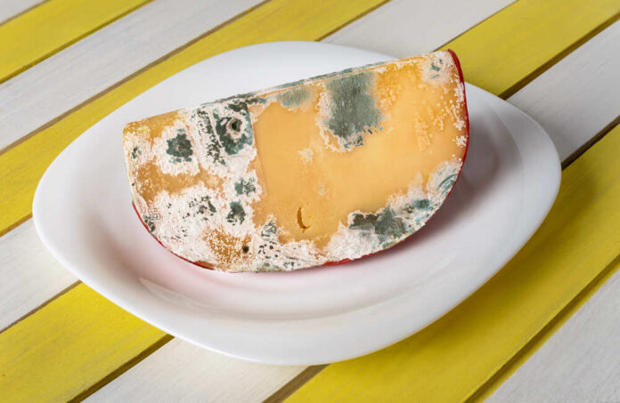 Moldy,Cheese,On,The,Plate