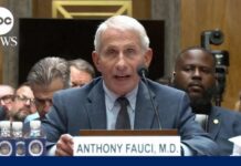 Fauci invokes 5th Amendment during Senate testimony