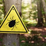 ER Flooded By Ticks?! Close-up of a tick on human skin