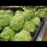 LATEST UPDATE: Taco Bell Lettuce Panic Spreads Iceberg lettuce recalled in 27 states as cyclospora outbreak investigation continues