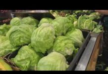 LATEST UPDATE: Taco Bell Lettuce Panic Spreads Iceberg lettuce recalled in 27 states as cyclospora outbreak investigation continues
