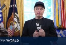 Zelenskyy Honors Musk With Huge Award Zelenskyy awards Elon Musk Ukraine's Order of Freedom | TVP World News