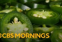 U.S. hit with more foodborne illnesses as Chipotle, Qdoba remove salmonella-linked jalapeños