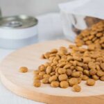 Dog Dinner Recall — Metal Risk Stethoscope with dog treats on veterinary invoice