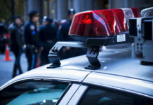 Viral Mask Mayhem Triggers Federal Takedown Police car lights with officers blurred in background.