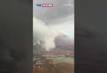 Passengers Scream As Severe Turbulence Rattles A Turkish Airlines Flight