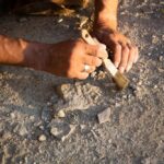 Person using a brush to uncover a fossil in the ground