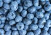Deadly Berries Killed THIS Woman?