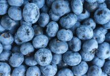 Deadly Berries Killed THIS Woman?