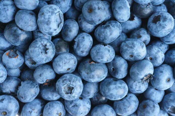Fresh,Raw,Organic,Blueberries,Background,Close,Up.,Macro,Texture,Of