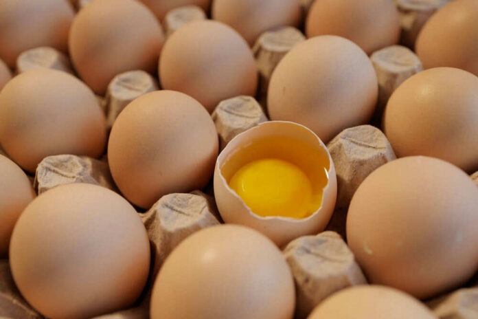 shutterstock_2509408105 Eggs in carton one cracked revealing yolk